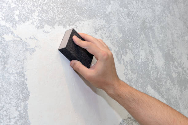 Best Forensic Mold Investigation  in Woodsville, NH