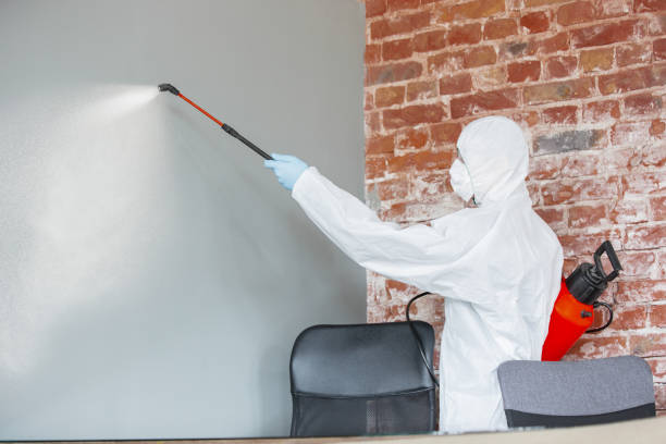 Best Asbestos and Lead Testing During Mold Inspection  in Woodsville, NH