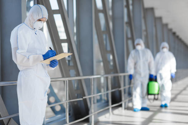 Best Mold Remediation for Healthcare Facilities  in Woodsville, NH