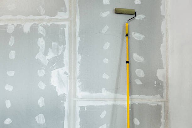 Woodsville, NH Mold Removal Company