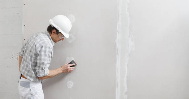Best Mold Removal for HVAC Installations  in Woodsville, NH