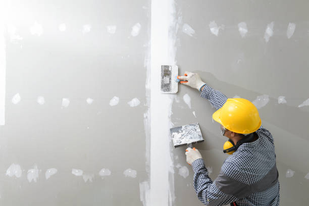 Best Dehumidification Services  in Woodsville, NH