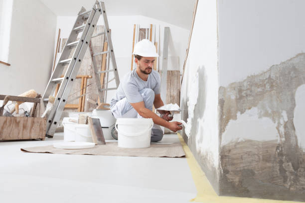 Best Real Estate Mold Inspection  in Woodsville, NH