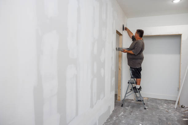 Best Mold Remediation for Healthcare Facilities  in Woodsville, NH