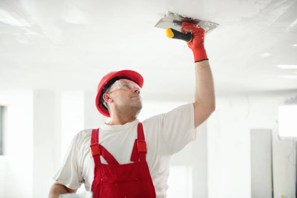 Best Mold Odor Removal Services  in Woodsville, NH