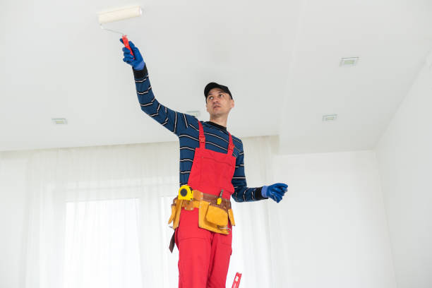 Best Air Quality Testing for Mold Spores  in Woodsville, NH