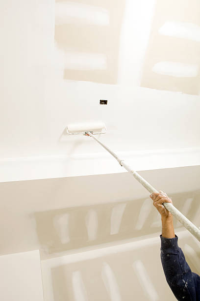 Best Mold Damage Restoration  in Woodsville, NH