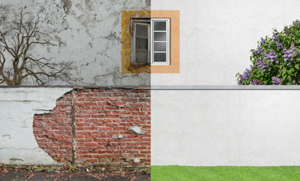 Best Emergency Mold Remediation  in Woodsville, NH